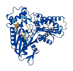 GLYCTK 3D structure