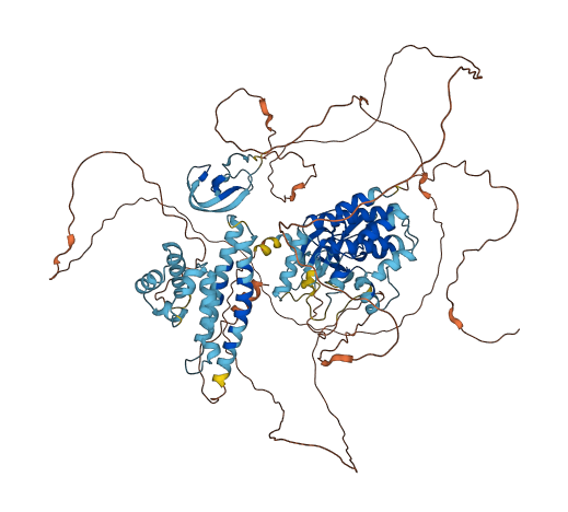 KSR1 3D structure