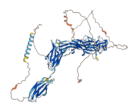 IGDCC3 3D structure