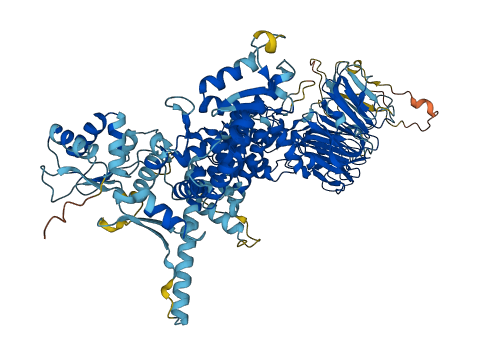 HERC6 3D structure