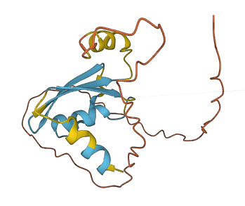 ARL17A 3D structure