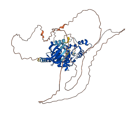 CDKL3 3D structure