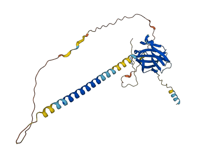 VSTM4 3D structure