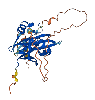 SIAH3 3D structure