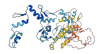 ZNF695 3D structure