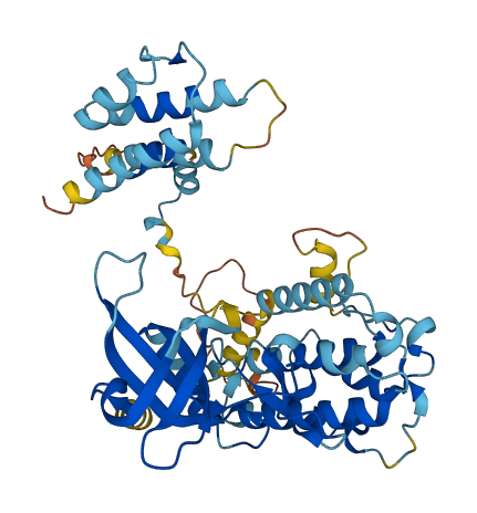 MAPKAPK5 3D structure