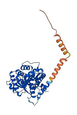 NAXD 3D structure