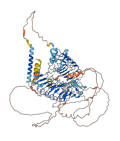 SLITRK4 3D structure