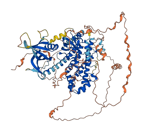 ARHGEF19 3D structure