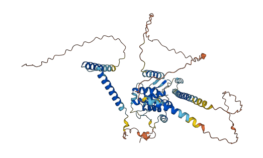 CCDC60 3D structure