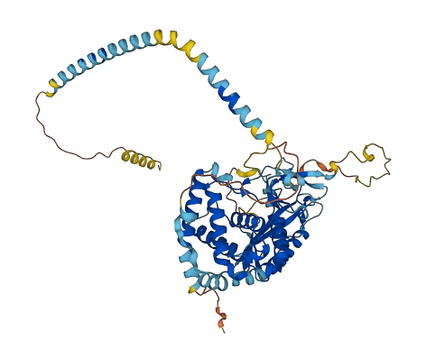 ITPRIP 3D structure