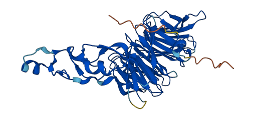 WDFY1 3D structure