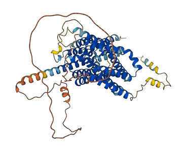 MFSD6L 3D structure