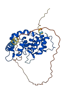 DCUN1D3 3D structure