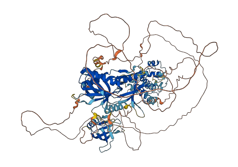 PLEKHM2 3D structure