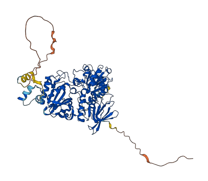 FOXRED2 3D structure