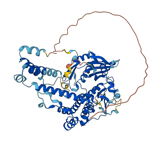 DENND6A 3D structure