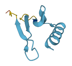 UBE2DNL 3D structure