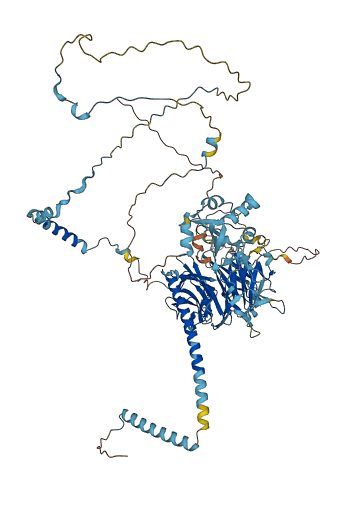 WDR63 3D structure
