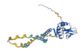 SFTPA2 3D structure