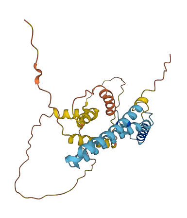 CCDC28A 3D structure