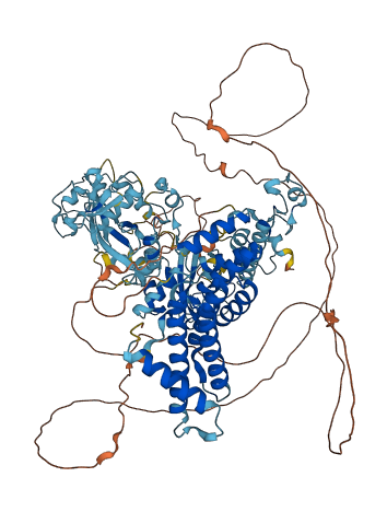 ZC3H7A 3D structure