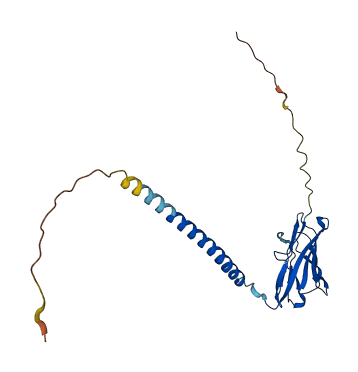 SCN4B 3D structure