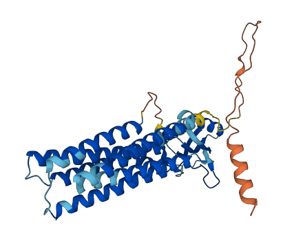 SLC30A8 3D structure
