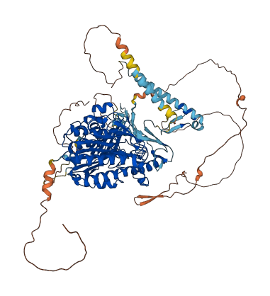 SULF1 3D structure