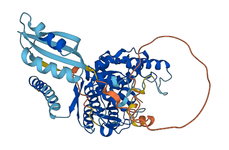 TPH2 3D structure