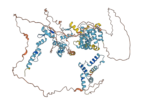ZSCAN29 3D structure