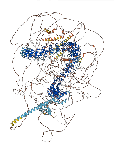 ANKHD1 3D structure