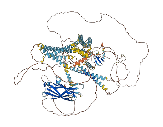 WWC1 3D structure
