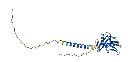 CD302 3D structure