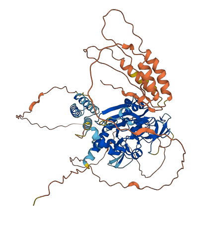REXO1L1P 3D structure