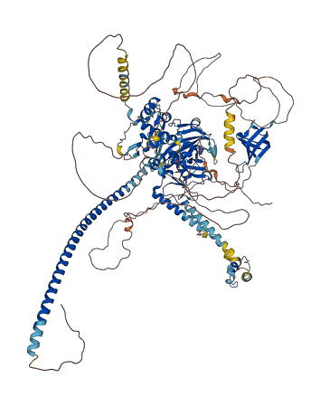 CCAR1 3D structure