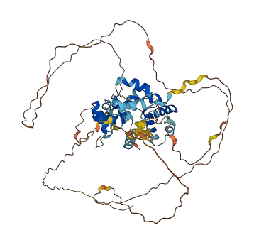 HOMEZ 3D structure