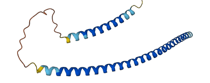 CTAGE3P 3D structure