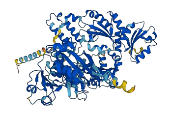 DNAJC10 3D structure