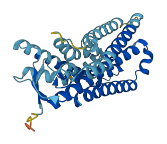 OR4N5 3D structure