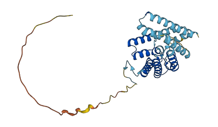 AQP12A 3D structure