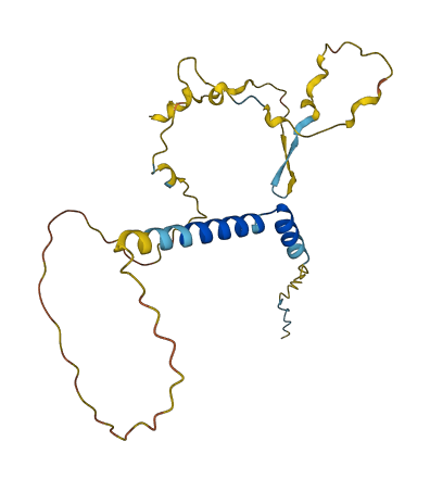 TP53INP2 3D structure