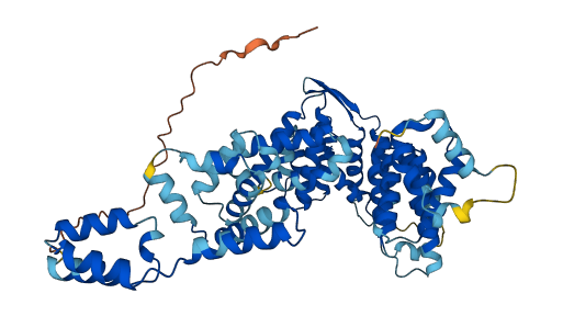 NELFCD 3D structure