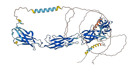CDH26 3D structure