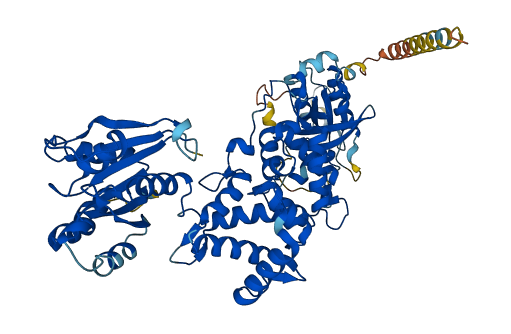 RHOT2 3D structure