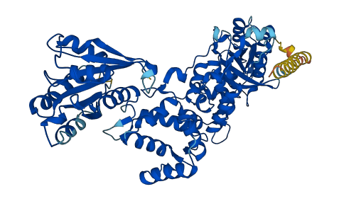 RHOT1 3D structure