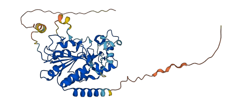 SIRT2 3D structure