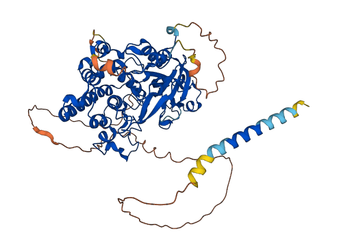 FAM20C 3D structure