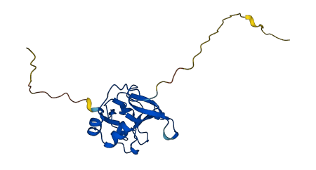 MSRB3 3D structure