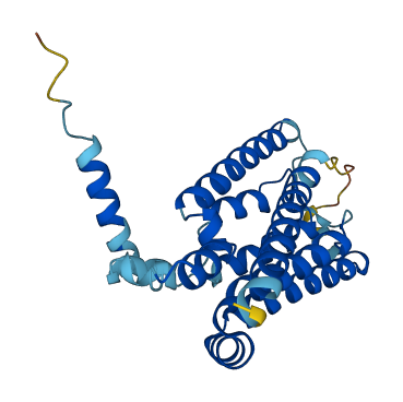 NRM 3D structure